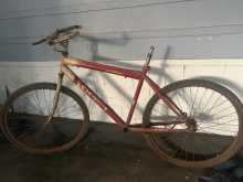 Cenfin bicycle