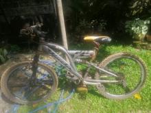 Other Cycle 2023 Motorbike