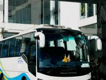 Other Golden Dragan 2015 Bus