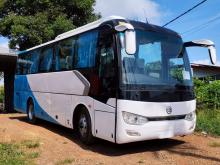Other Golden Dragon 2021 Bus