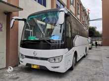 Other Golden Dragon 2026 Bus
