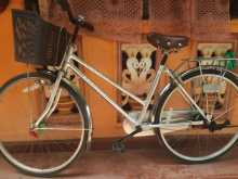 Lumstar Standard / bicycle