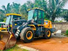 Other LW300HN 2021 Heavy-Duty
