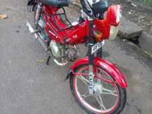 Other Safari 2024 Motorbike