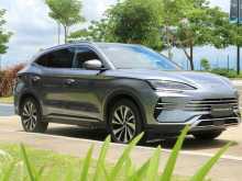 Other SEALION 6 2025 SUV