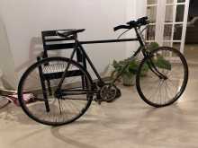 Standed bicycle