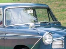 Other Woosly 1620 1980 Car