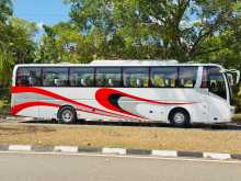 Other Zhonda 2011 Bus