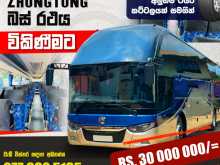 Other Zhongtong Magnate 2018 Bus