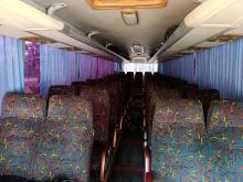 Other Zonda 2010 Bus