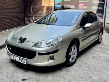 Peugeot 407 2006 Car