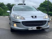 Peugeot 407 2006 Car