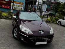 Peugeot 407 2005 Car