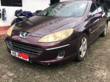 Peugeot 407 2006 Car