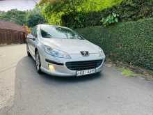 Peugeot 407 2006 Car