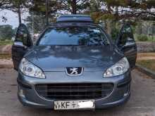 Peugeot 407 2006 Car
