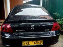 Peugeot 407 2006 Car