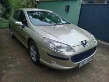 Peugeot 407 2006 Car