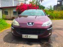 Peugeot 407 2006 Car