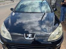 Peugeot 407 2009 Car