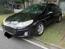 Peugeot 407 2007 Car