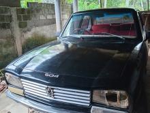 Peugeot 504 1976 Car