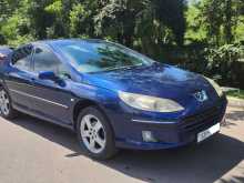 Peugeot 407 2007 Car