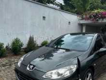 Peugeot 407 2007 Car