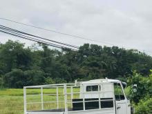 https://riyasewana.com/uploads/piaggio-dilivery-truck-2019023624751.jpg