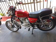 Senaro G N 125 2024 Motorbike