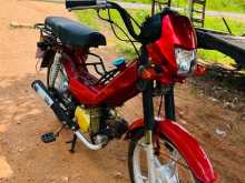 Singer Safari 2025 Motorbike