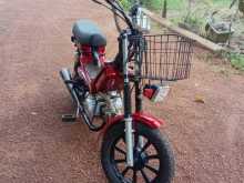 Singer Safari 2025 Motorbike