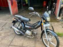 Singer Safari 2024 Motorbike