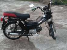 Singer Safari 2019 Motorbike