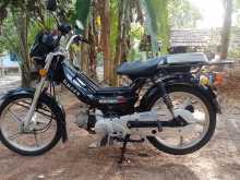 Singer Safari 2019 Motorbike