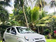 Suzuki Alto 2015 Car