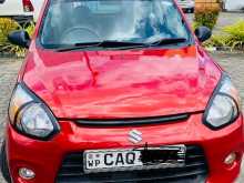 Suzuki Alto 2016 Car