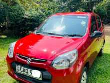 Suzuki Alto 2016 Car