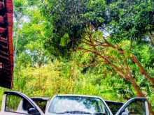 Suzuki Alto 2015 Car