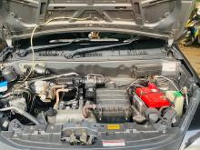 Suzuki Alto 2019 Car