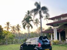 Suzuki Alto 2011 Car