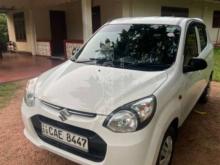 Suzuki Alto 800 2015 Car