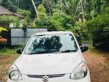 Suzuki Alto 800 2015 Car
