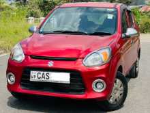Suzuki Alto 800 2016 Car