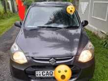 Suzuki Alto 800 2016 Car