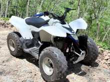 Suzuki Atv Beach Quad 2020 Motorbike