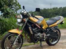 Suzuki Bandit 250 2010 Motorbike