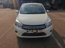 Suzuki Celerio 2015 Car