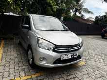 Suzuki Celerio 2015 Car