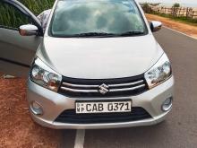 Suzuki Celerio 2014 Car